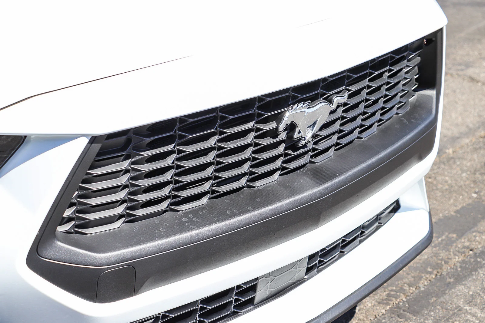 New 2026 Oxford White Ford EcoBoost® Fastback image 5