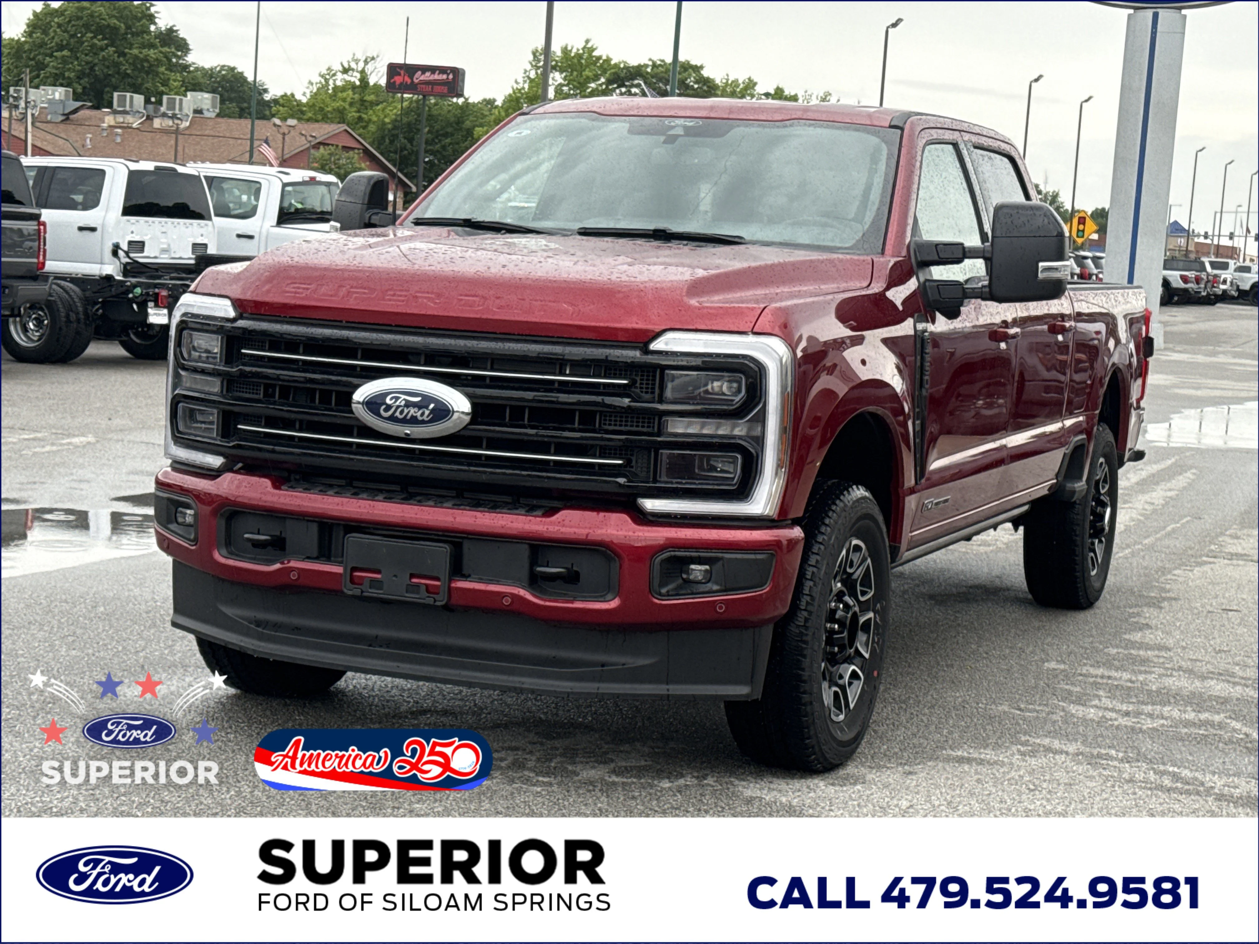 New 2026 Ruby Red Metallic Tinted Clearcoat Ford Platinum 4WD image 12