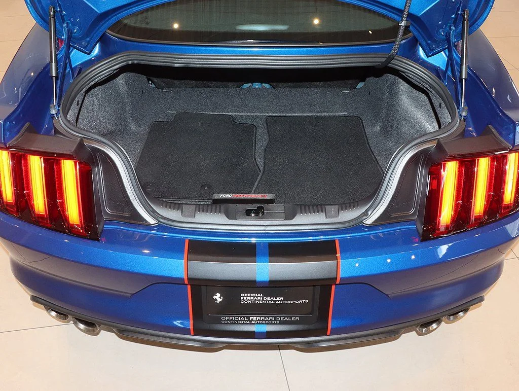 2017 Ford Mustang Shelby GT350 - Photo 52