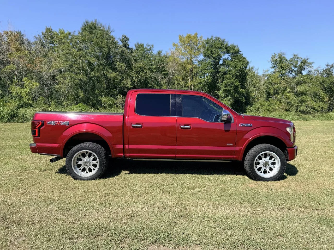 Used 2015 Red Ford Platinum 4x4 4dr SuperCrew 5.5 ft. SB image 7