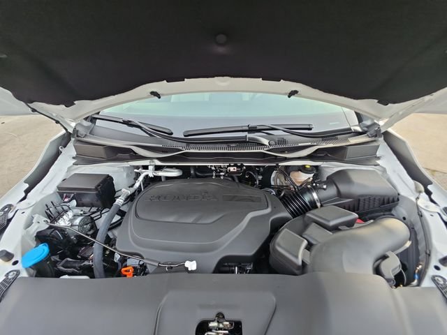 New 2026 Platinum White Pearl Honda EX-L image 20