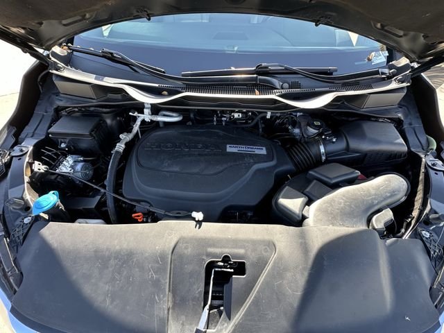Used 2019 Black Honda Elite image 37