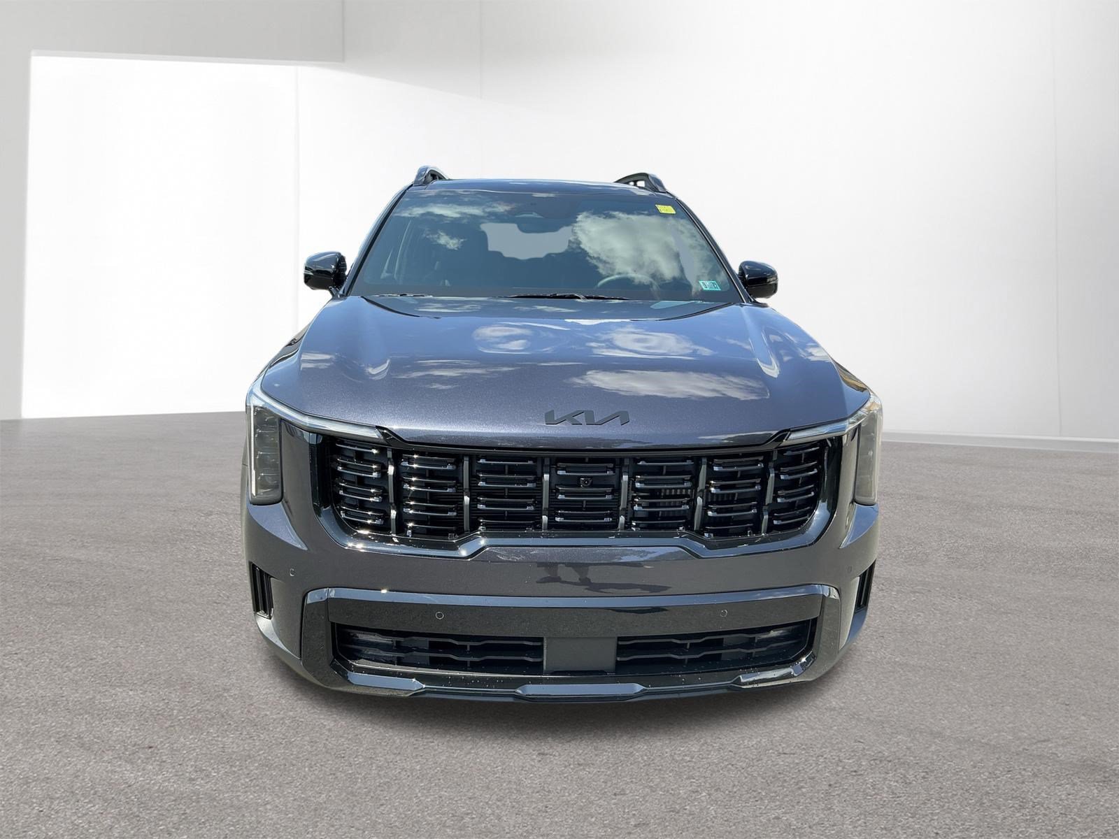 New 2026 Panthera Metal Kia X-Line SX Prestige AWD image 8