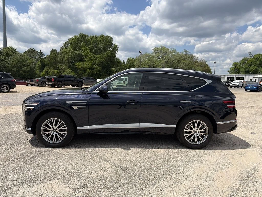 Used 2024 Blue Genesis 2.5T image 3