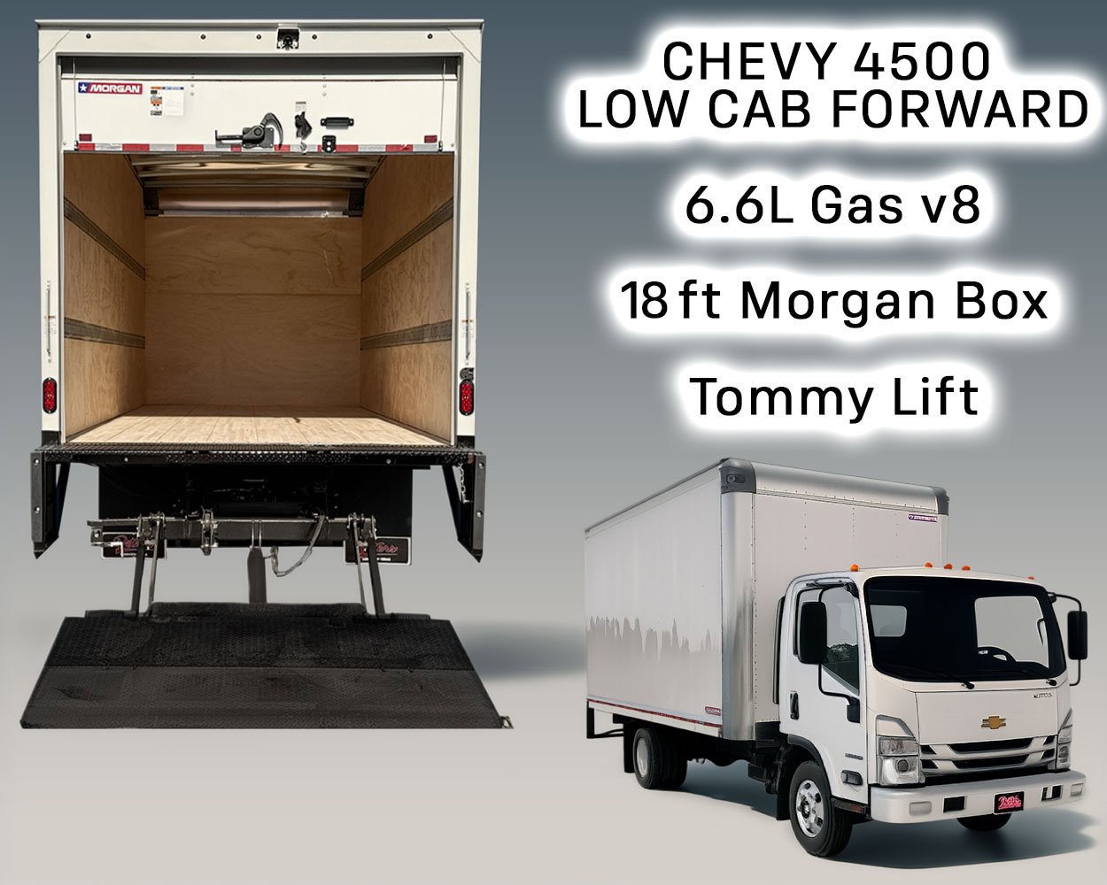 2024 Chevrolet Low Cab Forward 4500 Gas 176" WB Regular Cab's photo