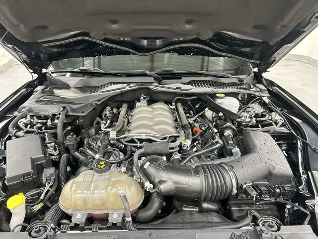 Used 2019 Black Ford GT Premium image 6