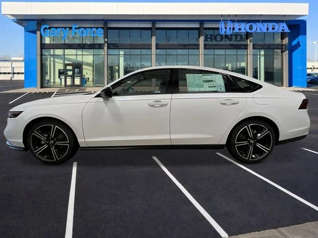 New 2026 Platinum White Pearl Honda SE image 2