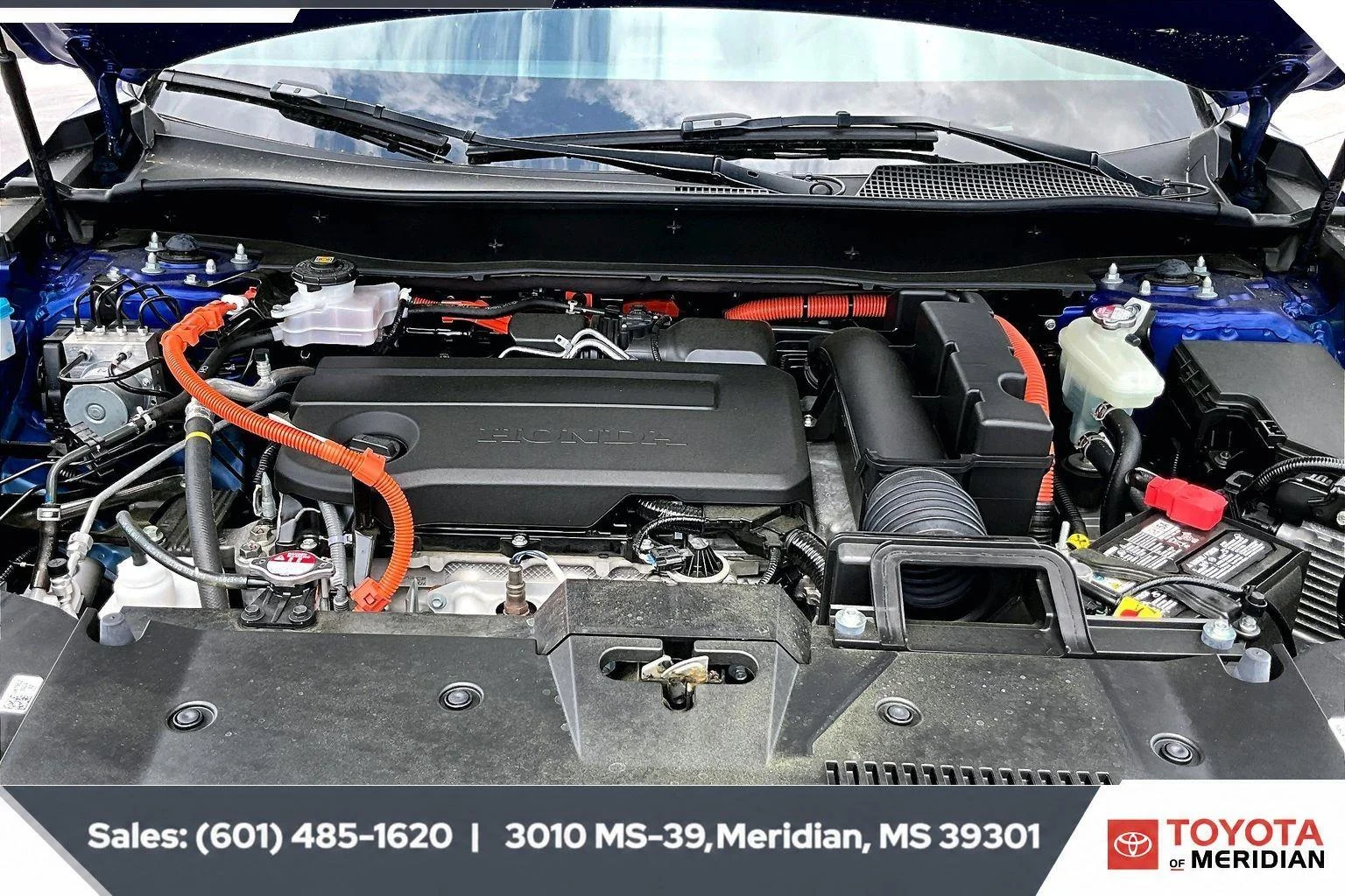 Used 2025 Still Night Pearl Honda Sport-L image 8
