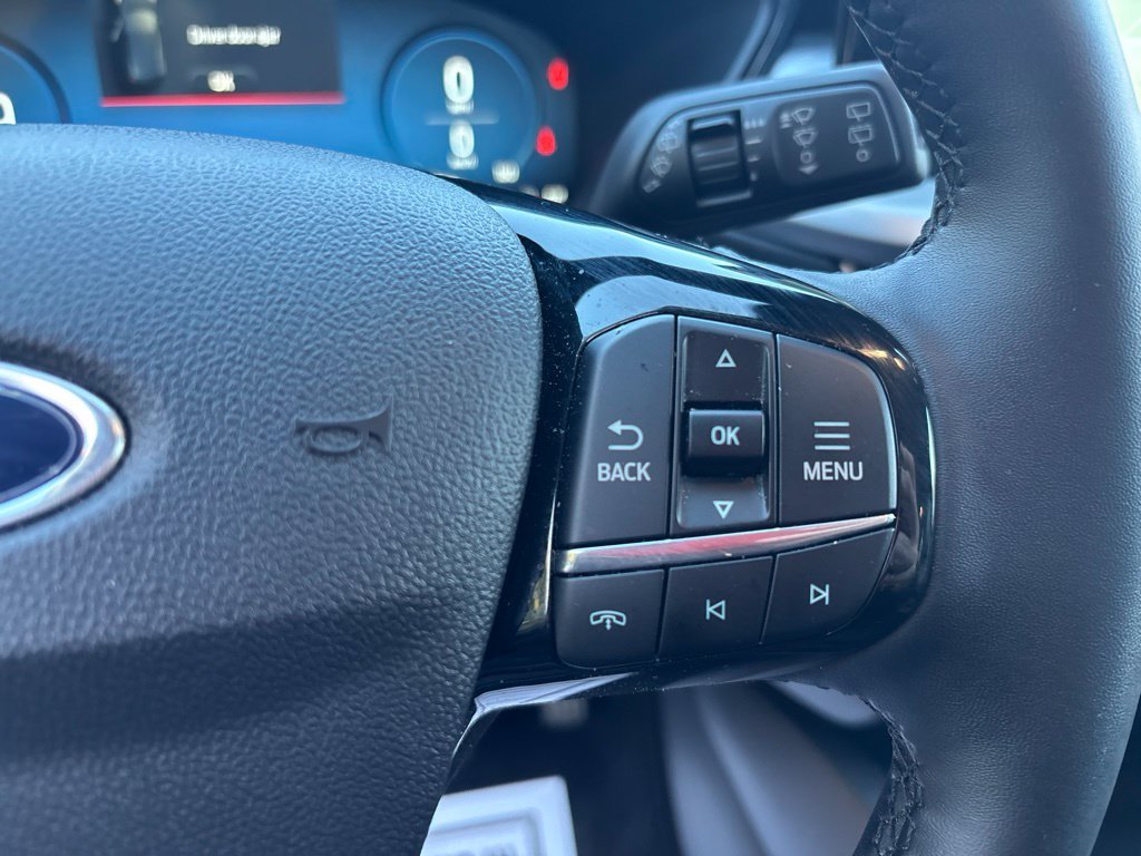 Used 2025 Black Ford Platinum image 24