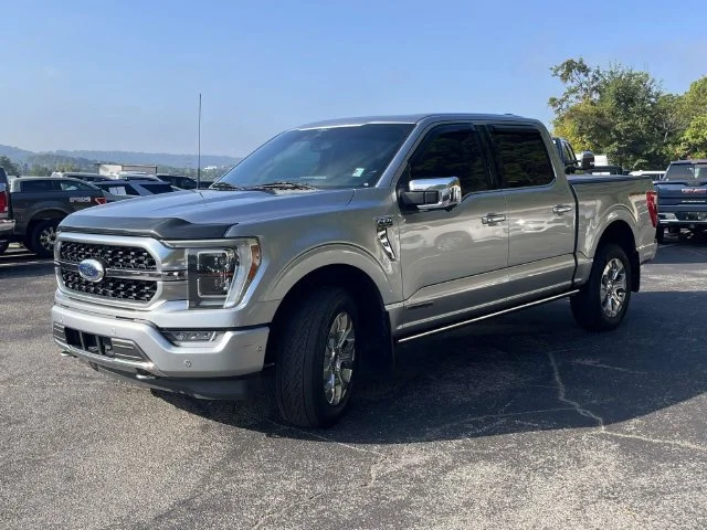 Used 2021 Silver Ford Platinum image 8