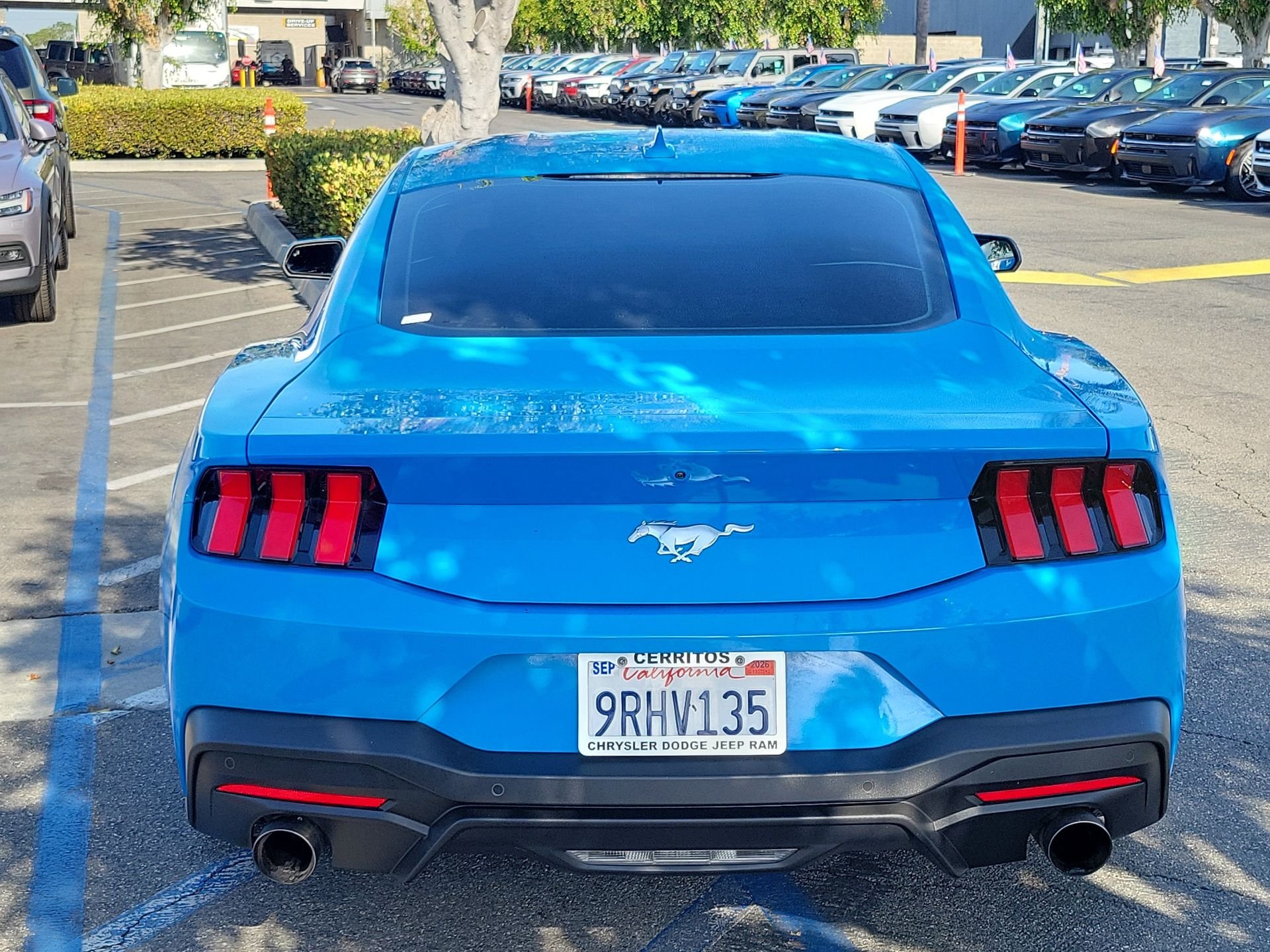 Certified Used 2024 Blue Ford EcoBoost image 3