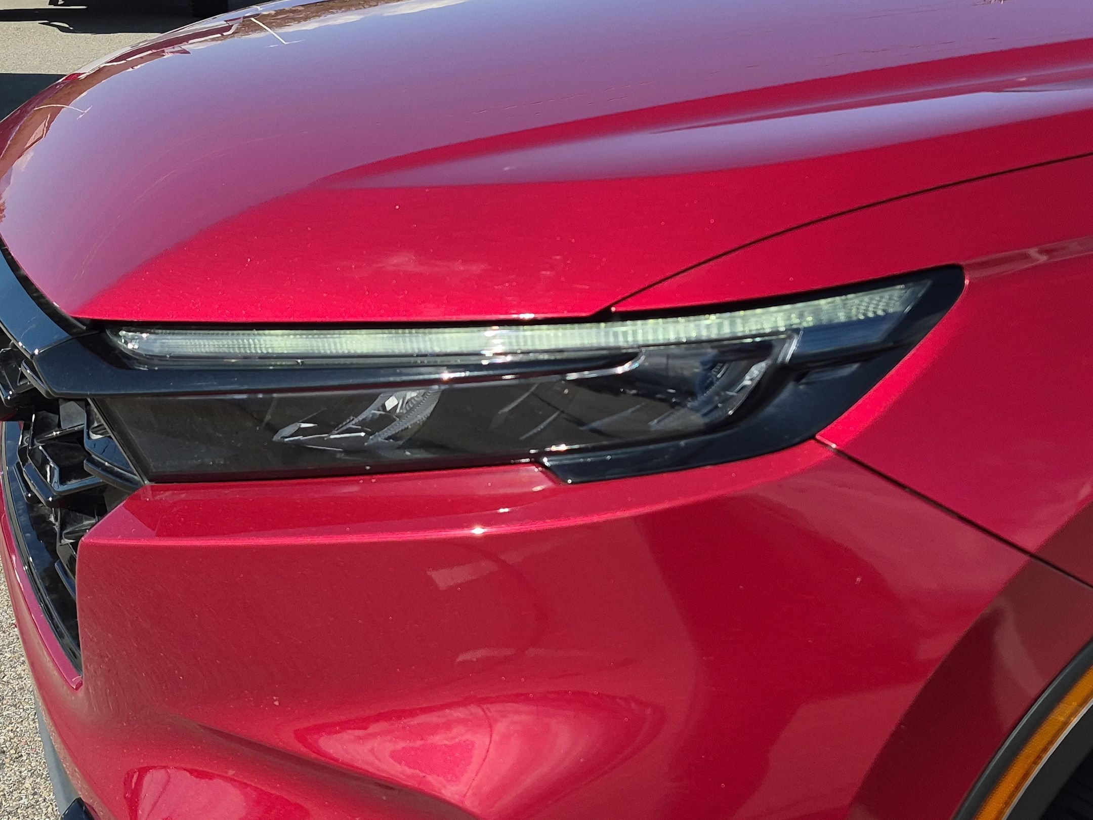 Used 2023 Red Honda Sport image 10