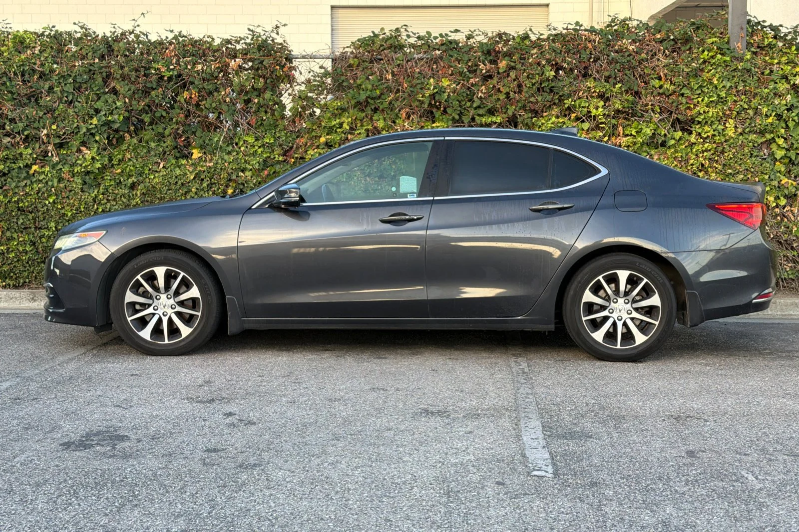 Used 2016 Blue Acura Tech image 7