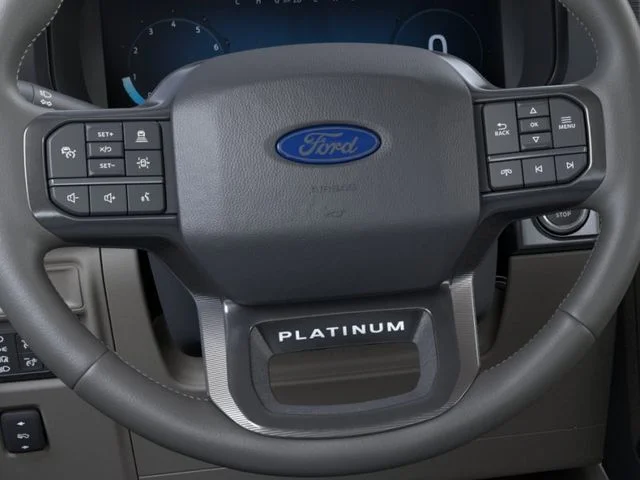 New 2026 Agate Black Metallic Ford Platinum image 12
