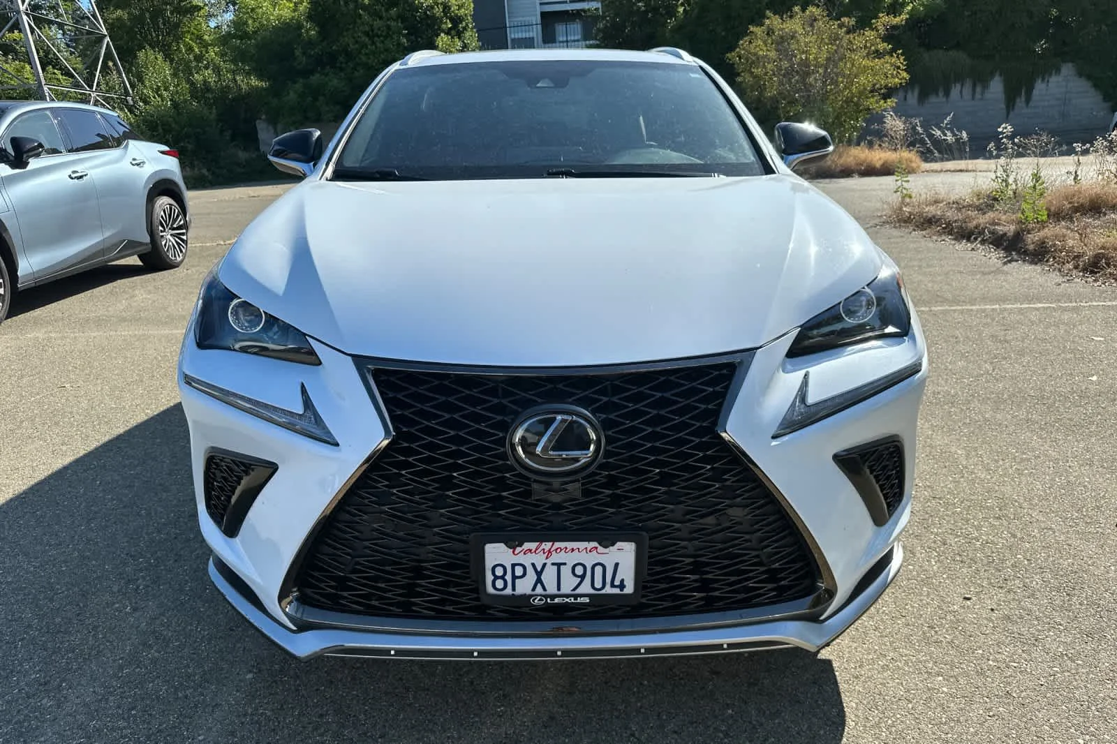 Used 2019 White Lexus F SPORT image 6