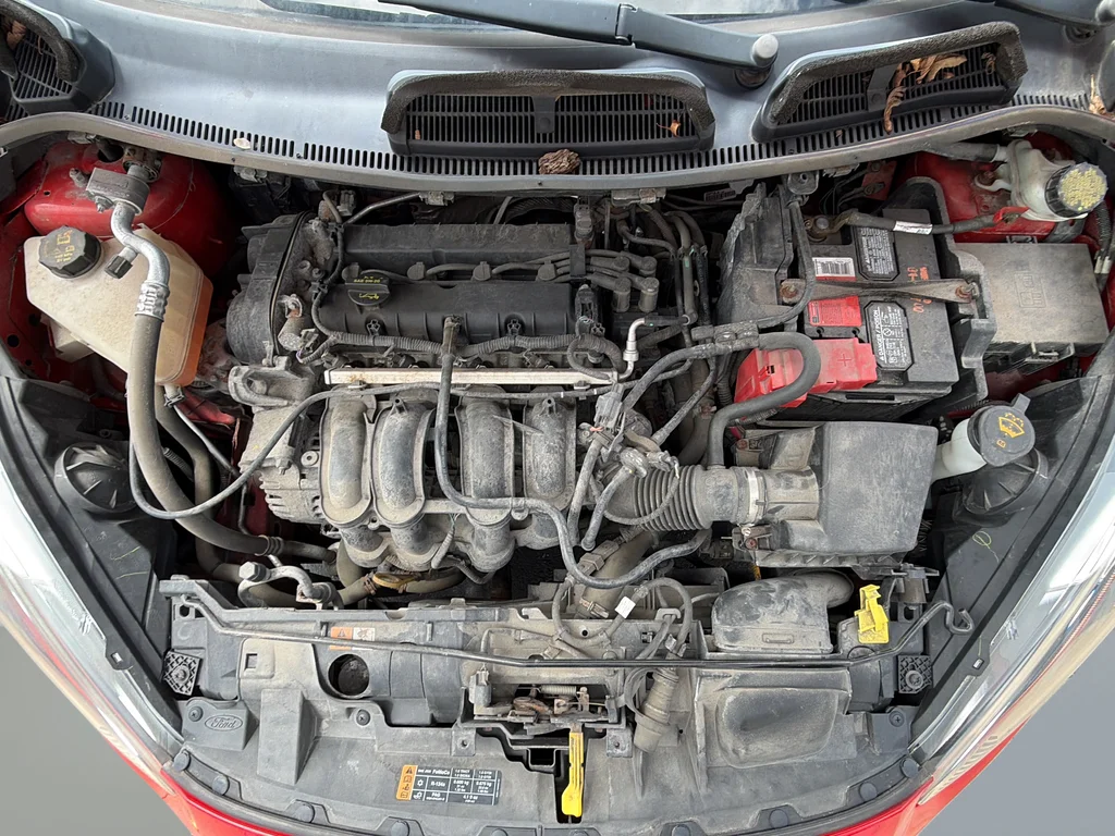 Used 2014  Ford SE image 8