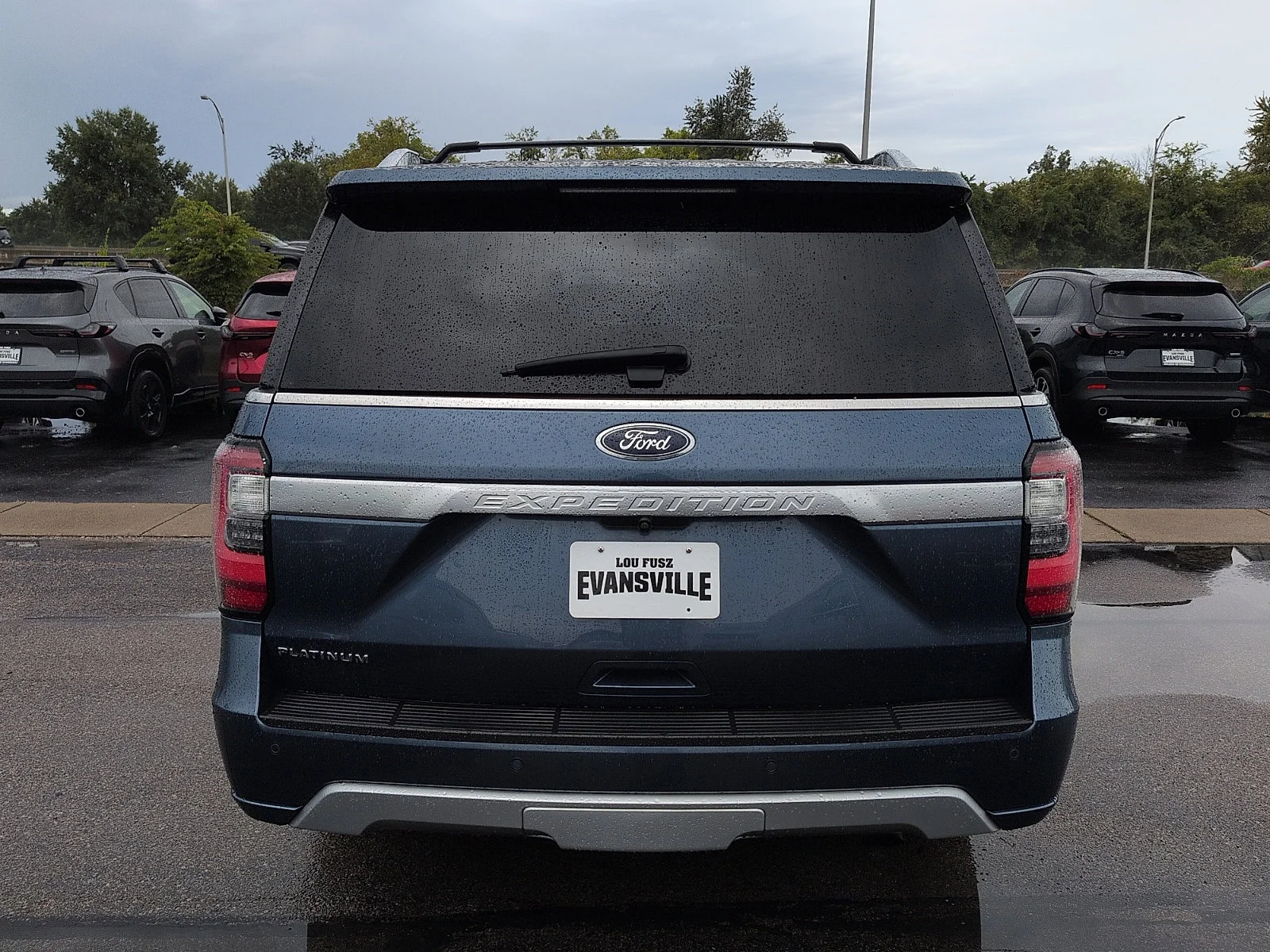 Used 2019 Blue Metallic - FT Ford Platinum image 6