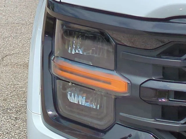New 2026 Oxford White Ford XLT image 10