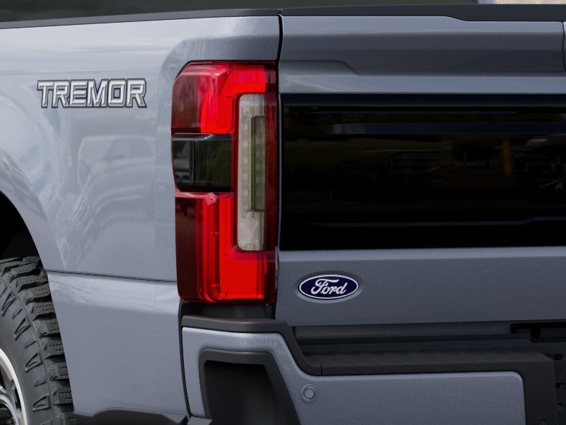 New 2027 Gray Ford Platinum image 21