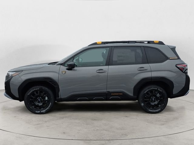 New 2026 Beige Subaru Wilderness image 2