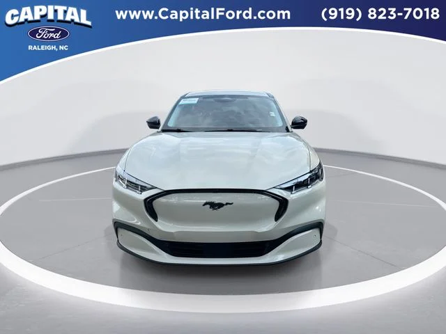 Used 2025 Beige Ford Premium image 3