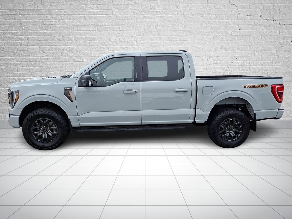 2023 Ford F-150 Tremor - Photo 8