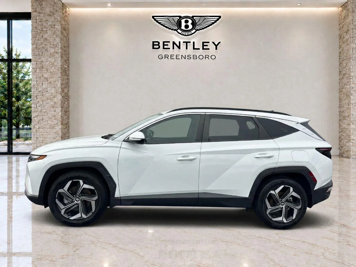Used 2023 Serenity White Pearl Hyundai SEL image 2