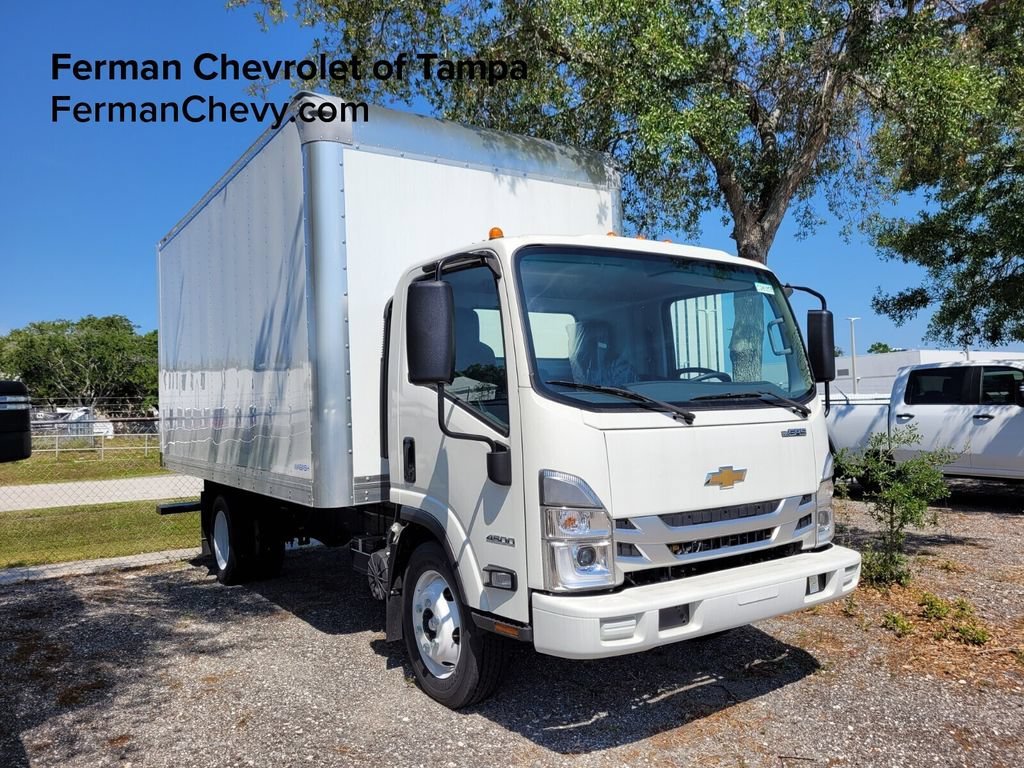 New 2024 Arc White Chevrolet MEDIUM ASH GRAY image 1