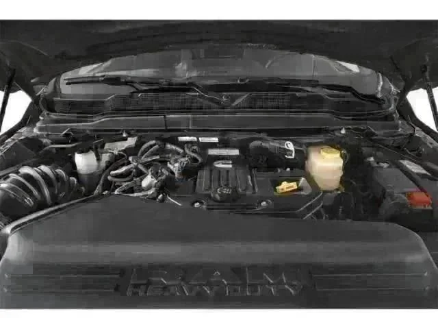 New 2026 Bright White Clear-Coat Exterior Paint RAM Black Express image 9