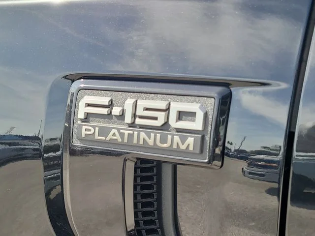 New 2026 Black Metallic Ford Platinum image 9