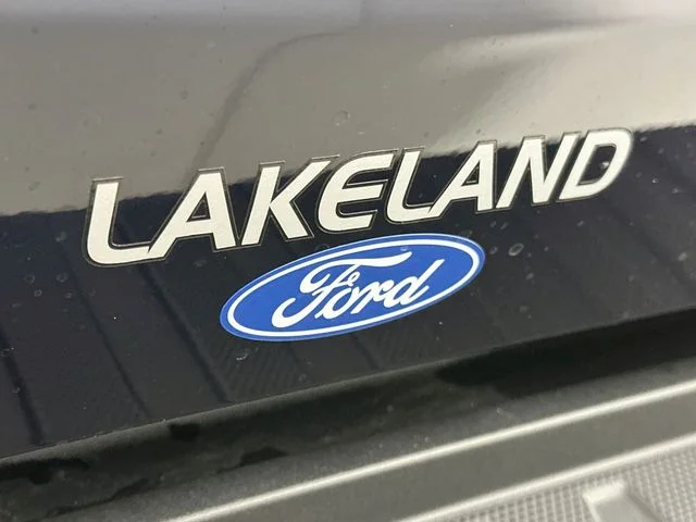 New 2026 Blue Ford Platinum image 30