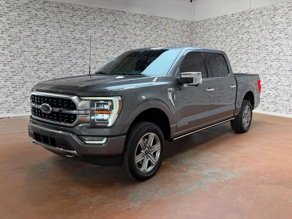Used 2021 Gray Metallic Ford Platinum image 3