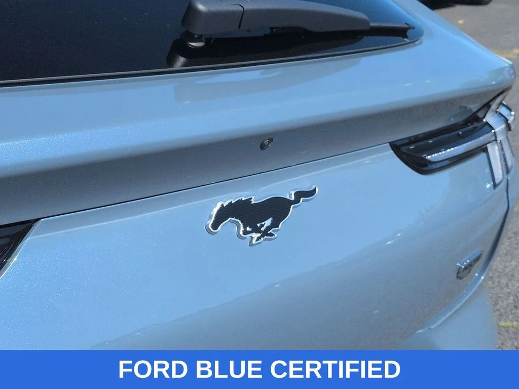 Used 2023 Vapor Blue Ford California Route 1 image 26
