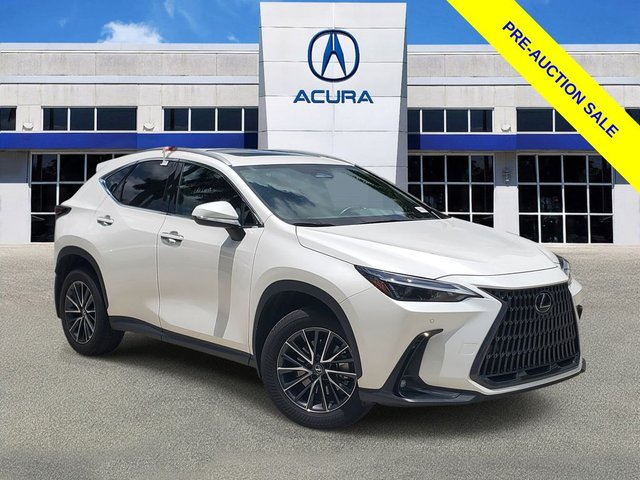 2025 Lexus NX 250 Premium