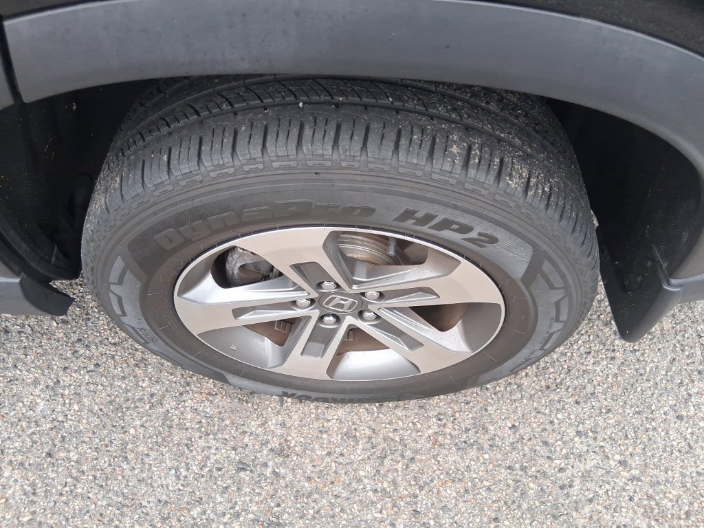Used 2025  Honda EX-L image 7