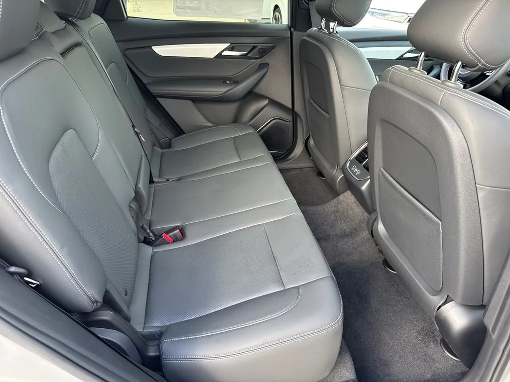 New 2025 Silver VinFast Plus image 17