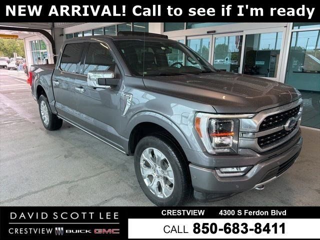2021 Ford F-150 Platinum 4x4 SuperCrew 5-1/2 Box's photo