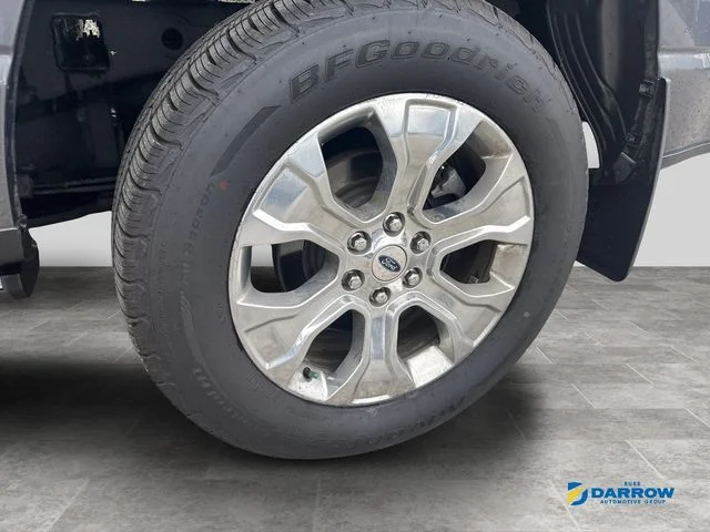 Used 2021 Gray Ford Platinum image 19