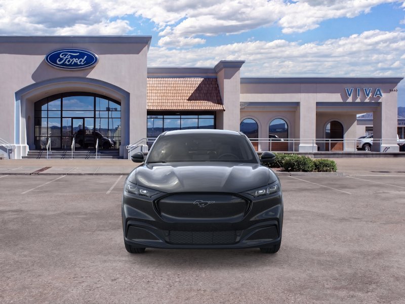New 2026 Shadow Black Ford Premium image 6