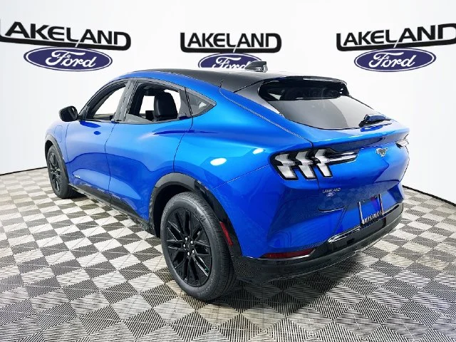 New 2026 Blue Ford Premium image 5