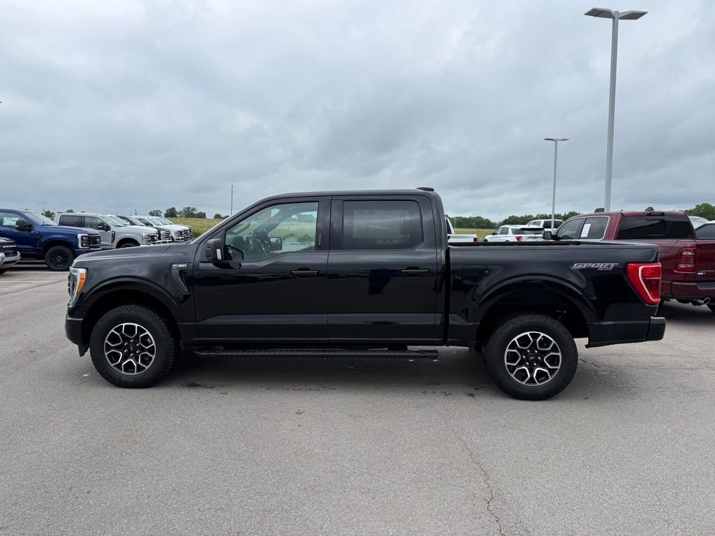 Used 2023 Black Ford XLT image 39