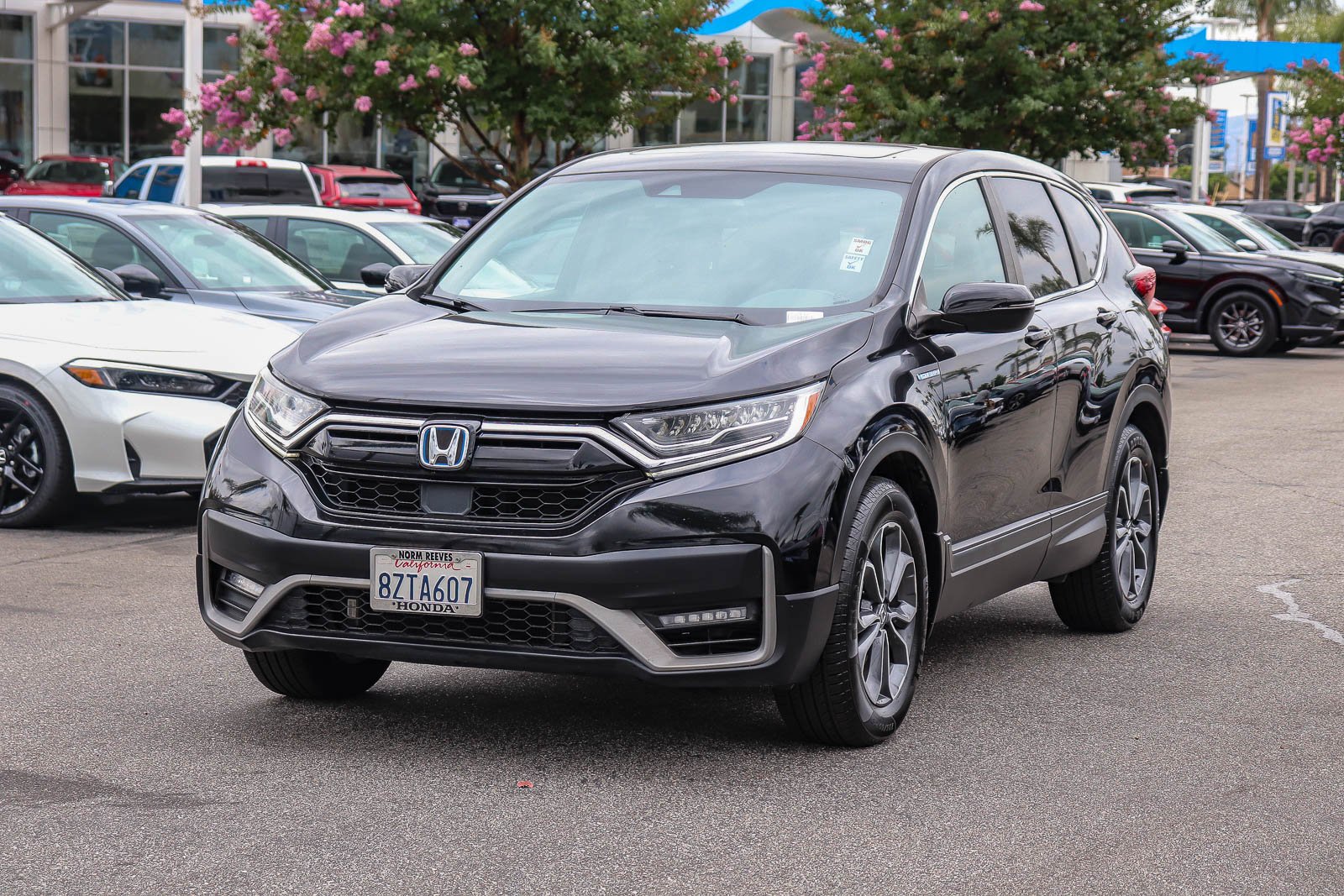 Certified Used 2022 Black Honda EX-L image 3