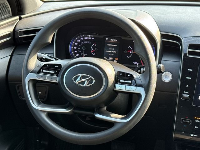 Used 2024 Blue Hyundai SEL image 12