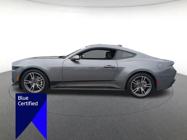 Used 2025 Gray Ford EcoBoost image 6