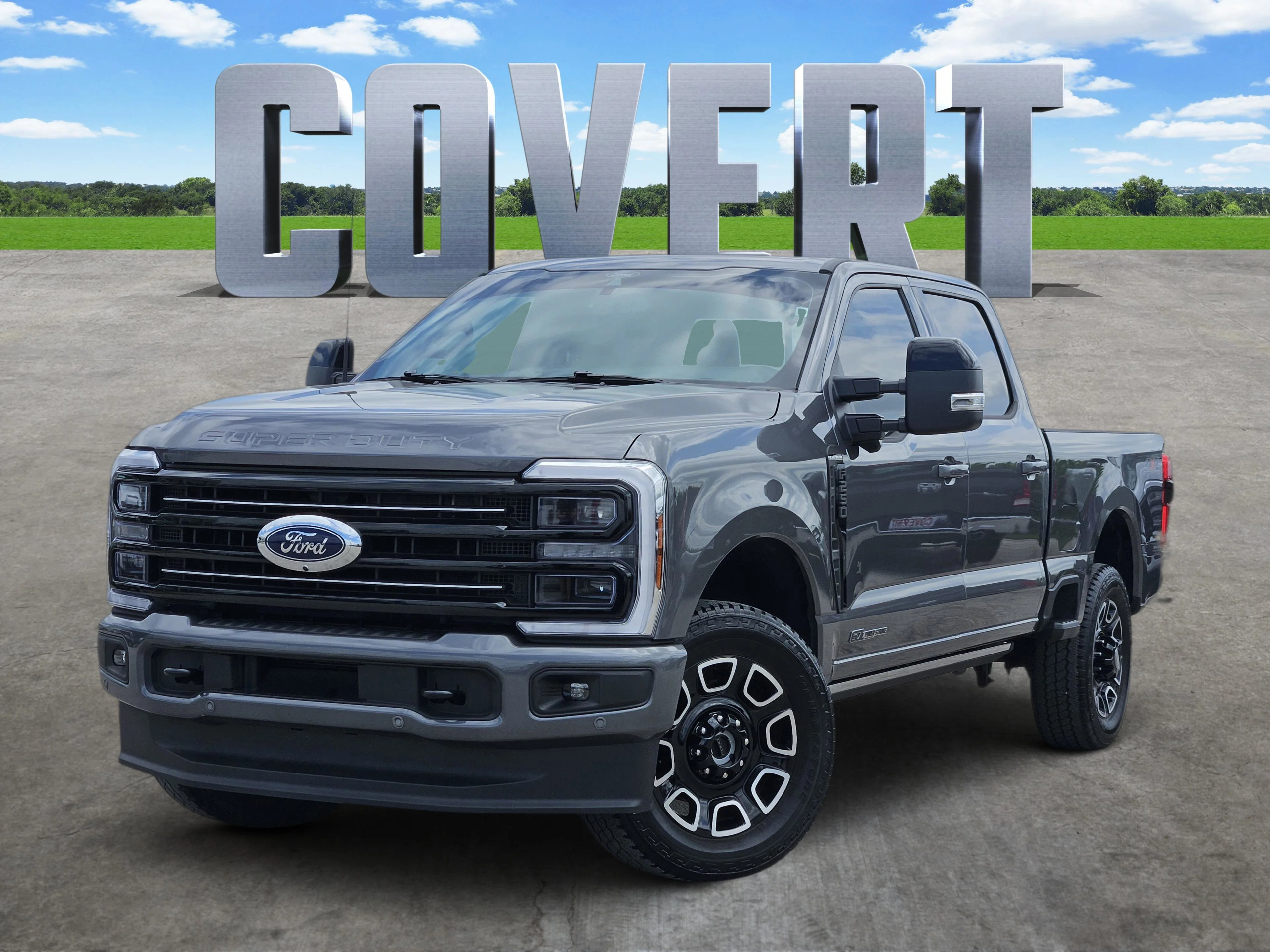 Used 2025  Ford Platinum image 1