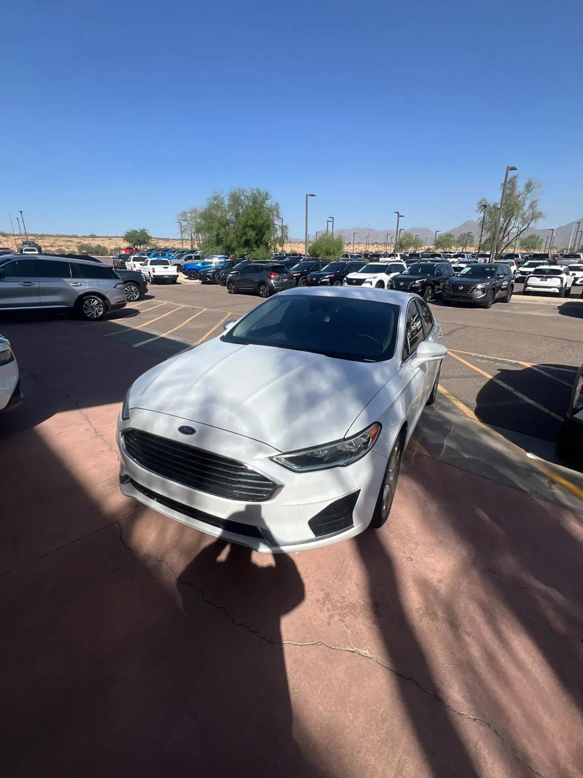 2019 Ford Fusion