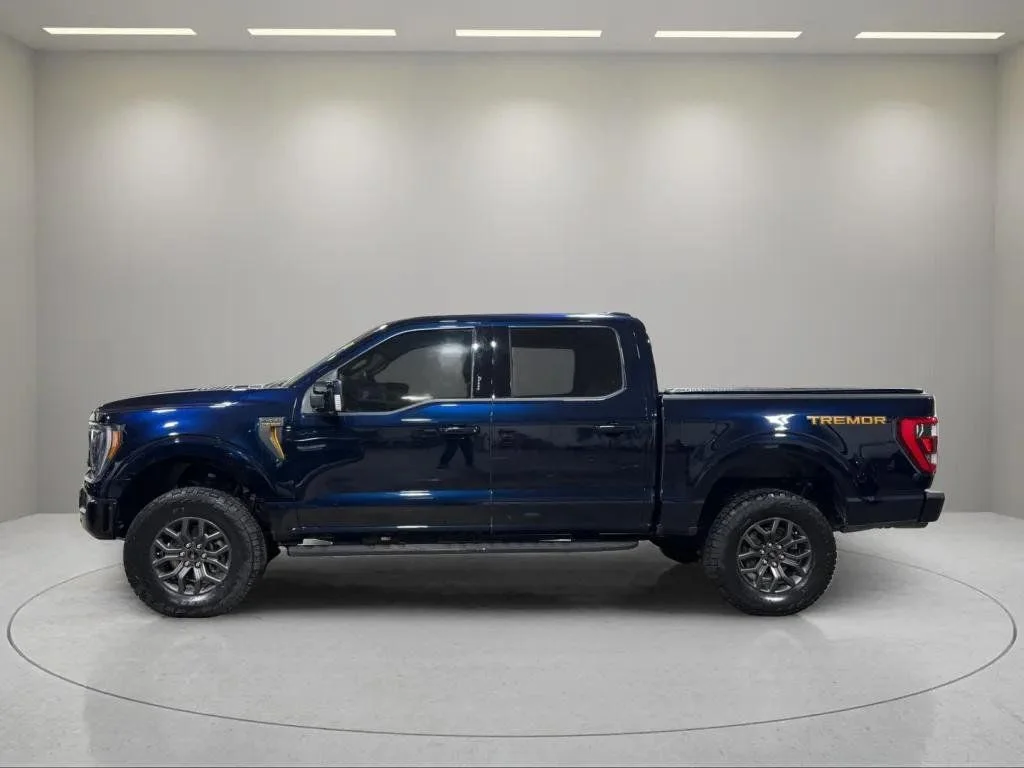 2023 Ford F-150 Tremor - Photo 8