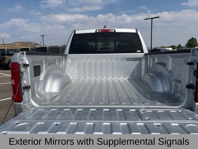 New 2026 Silver Zynith Exterior Paint RAM Laramie image 20