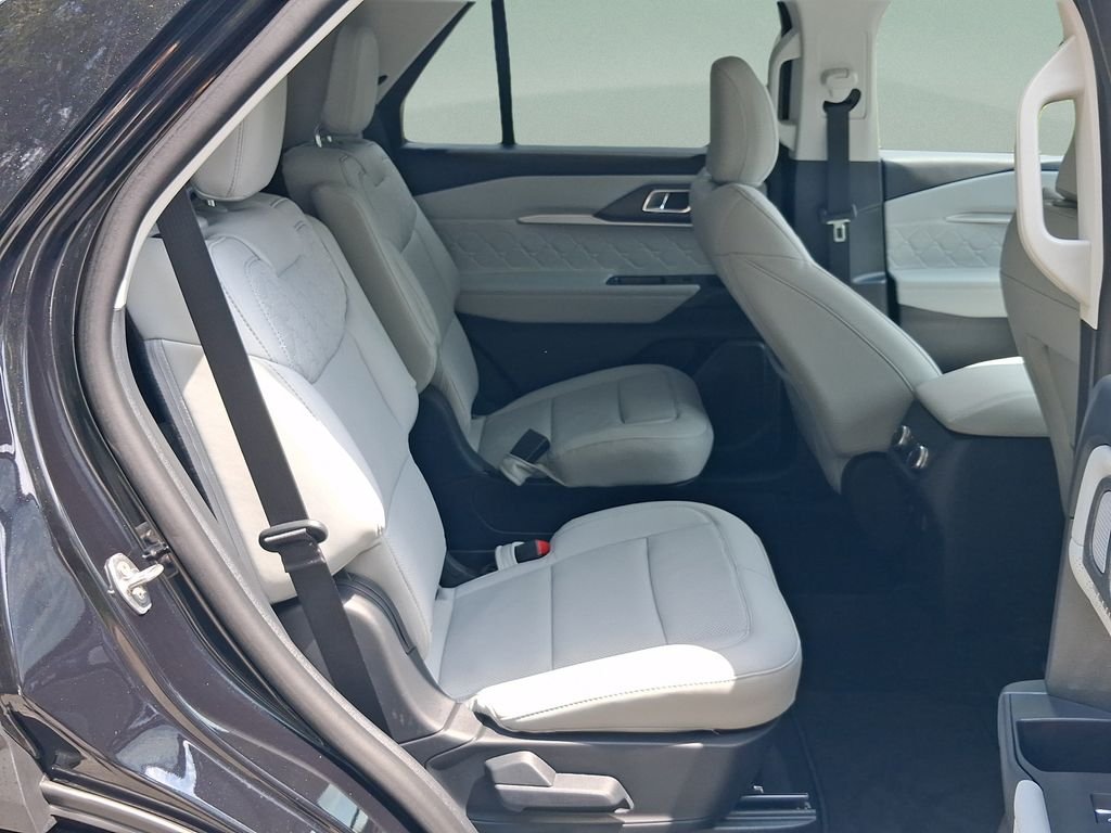 New 2026 Black Ford Platinum image 23