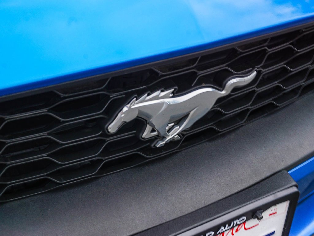 Used 2019 Blue Ford EcoBoost Premium image 11